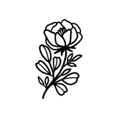 Obraz premium Hand drawn monochrome flower bud, plant, leaf, and foliage element for wedding invitation, logo, symbol, greeting cards, decor, botanical icon, or banner. Summer, spring, and autumn botany element