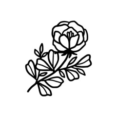 Hand drawn monochrome flower bud, plant, leaf, and foliage element for wedding invitation, logo, symbol, greeting cards, decor, botanical icon, or banner. Summer, spring, and autumn botany element