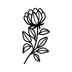 Hand drawn monochrome flower bud, plant, leaf, and foliage element for wedding invitation, logo, symbol, greeting cards, decor, botanical icon, or banner. Summer, spring, and autumn botany element