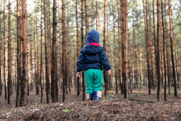 Cute adorable caucasian lonely toddler baby boy standing alone on hill during walk in fall coniferous pine woods at day time. Child lost in forest. Curious kid discover nature and world. Back view