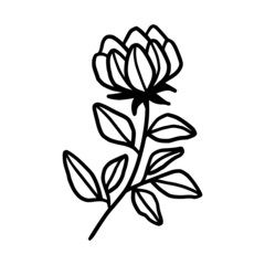 Hand drawn monochrome flower bud, plant, leaf, and foliage element for wedding invitation, logo, symbol, greeting cards, decor, botanical icon, or banner. Summer, spring, and autumn botany element