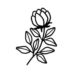 Hand drawn monochrome flower bud, plant, leaf, and foliage element for wedding invitation, logo, symbol, greeting cards, decor, botanical icon, or banner. Summer, spring, and autumn botany element