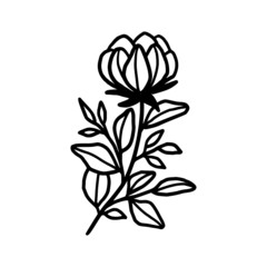Hand drawn monochrome flower bud, plant, leaf, and foliage element for wedding invitation, logo, symbol, greeting cards, decor, botanical icon, or banner. Summer, spring, and autumn botany element