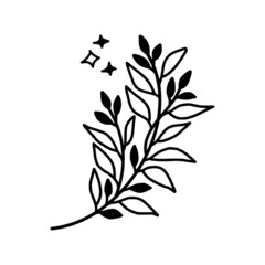 Hand drawn monochrome plant, leaf, and foliage element for wedding invitation, logo, symbol, greeting cards, decor, botanical icon, or banner. Summer, spring, and autumn botany element