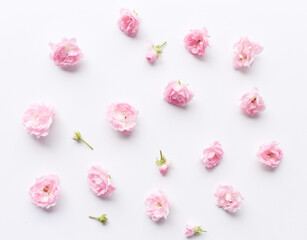 Floral pattern made of pink roses on white background. Flat lay, top view. Valentines background. Floral pattern. The design of flowers. Flowers pattern texture.