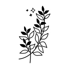 Fototapeta premium Hand drawn monochrome plant, leaf, and foliage element for wedding invitation, logo, symbol, greeting cards, decor, botanical icon, or banner. Summer, spring, and autumn botany element