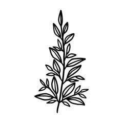 Fototapeta na wymiar Hand drawn monochrome plant, leaf, and foliage element for wedding invitation, logo, symbol, greeting cards, decor, botanical icon, or banner. Summer, spring, and autumn botany element