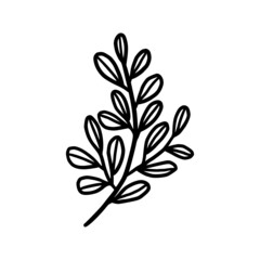 Hand drawn monochrome plant, leaf, and foliage element for wedding invitation, logo, symbol, greeting cards, decor, botanical icon, or banner. Summer, spring, and autumn botany element