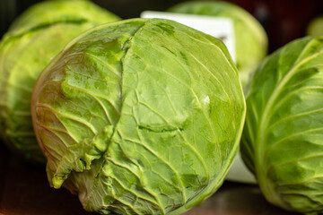 Fototapeta premium Green fresh cabbage Kachan, fresh greens on the market,