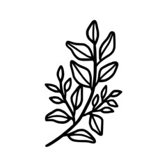 Hand drawn monochrome plant, leaf, and foliage element for wedding invitation, logo, engagement, or botanical logo