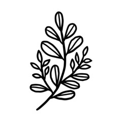 Hand drawn monochrome plant, leaf, and foliage element for wedding invitation, logo, symbol, greeting cards, decor, botanical icon, or banner. Summer, spring, and autumn botany element