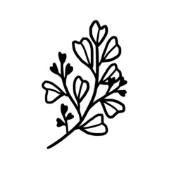 Hand drawn monochrome plant, leaf, and foliage element for wedding invitation, logo, symbol, greeting cards, decor, botanical icon, or banner. Summer, spring, and autumn botany element
