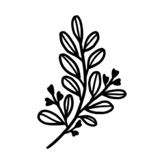 Hand drawn monochrome plant, leaf, and foliage element for wedding invitation, logo, symbol, greeting cards, decor, botanical icon, or banner. Summer, spring, and autumn botany element