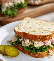 Tuna Fish Sandwich on Multiseed Bread