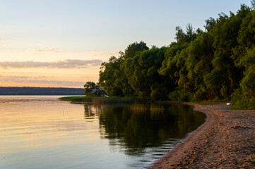 Sandy shore of a forest lake
