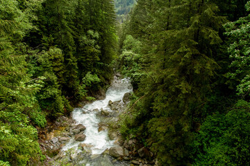 Fototapeta premium .River in the mountains among the trees. Rainy day in the mountains. Summer in the mountains. Waterfall. Tatra mountains..