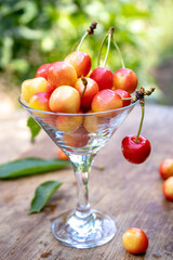 fresh ripe cherries in a glass on the wooden table in a garden, natural background