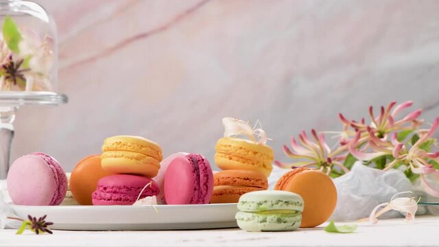 A french sweet delicacy, macaroons variety closeup. Color fresh macaroons on wooden background.