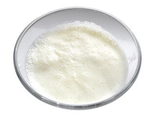 Boiled milk in a glass cup on a white background. Isolated
