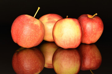Red ripe apples, close-up, on a black background.