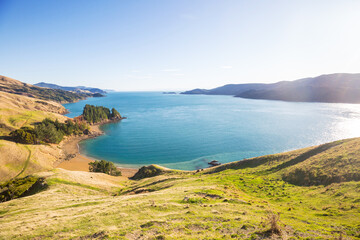 Obraz premium New Zealand coast