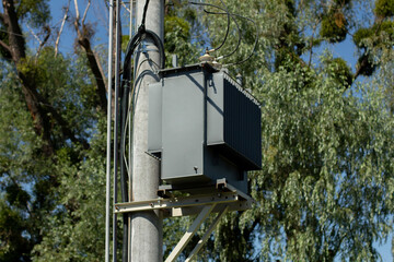 electrical panel on a pole in the forest
