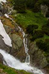 .River in the mountains among the trees. Rainy day in the mountains. Summer in the mountains. Waterfall. Tatra mountains..