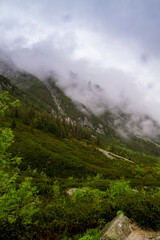Fototapeta na wymiar The mountains. Hiking in the mountains. Rainy day in the mountains. Summer in the mountains. Тatras.