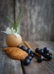 still life with a bunch of wild grapes