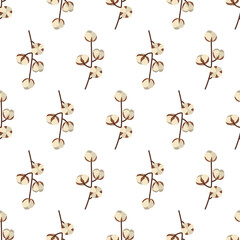 Branch with cotton ball seamless pattern in vintage style on white background. Floral backdrop. Fabric, wallpaper, textile, wrapping paper print texture.