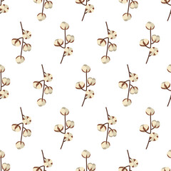 Branch with cotton ball seamless pattern in vintage style on white background. Floral backdrop. Fabric, wallpaper, textile, wrapping paper print texture.