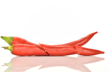 Red chili peppers, close-up, on a white background.