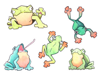 Five funny frogs on white background. Watercolor illustration.