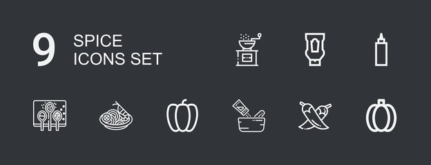 Editable 9 spice icons for web and mobile