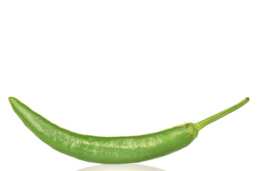 Green chili pepper, close-up, on a white background.
