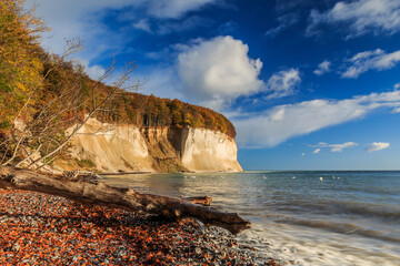 Jasmund National Park on the island of Ruegen. Chalk cliffs in the sunshine and blue sky with clouds on the Baltic Sea coast. Trees and beach section of the Pirate Bay in autumn mood