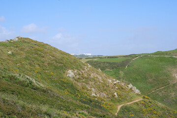 Paysages normands du Nez de Jobourg