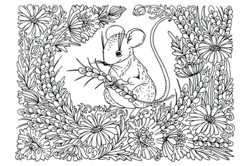 Obraz premium coloring book, mouse sitting in spikelets of poppies and daisies, for adults, for children, antistress, doodle, vector illustration, black and white