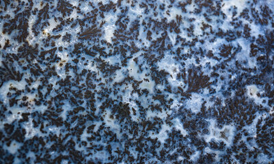 Dendritic Agate macro photograph.