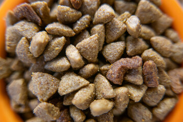 Dry pet food in a orange bowl