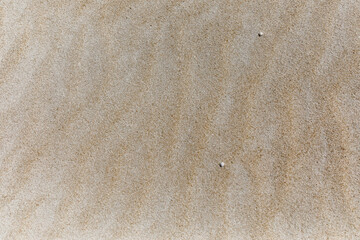 Fototapeta na wymiar White sand and Pattern, Saracen bay beach, Koh Rong Samloem island, Sihanoukville, Cambodia.