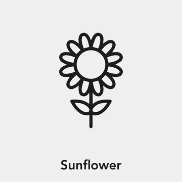sunflower icon vector sign symbol