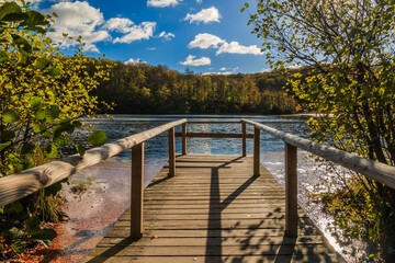 idyllic view of the lake with a wooden walkway in the sunshine surrounded by deciduous trees. Blue sky with clouds in the Jasmund National Park on the Baltic Sea on the island of Ruegen