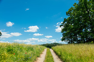 View on countryside road with clouds on background in South Poland