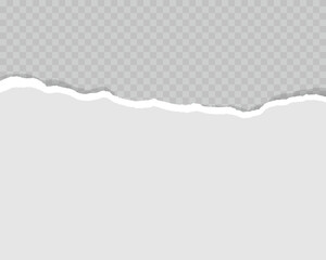 Obraz premium Torn gray paper background