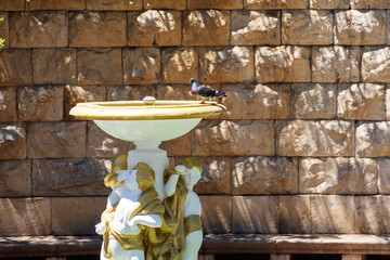 Obraz premium a dove sitting on a bowl of an old Soviet fountain