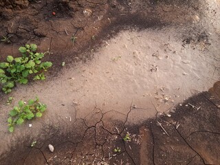 close up wet soil texture