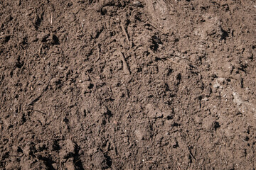 sand closeup for construction material