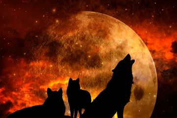 Schilderijen op glas drie wolven - roedel wolven over achtergrond met planeet en universum zoals mystieke magische fantasie dier concept © starblue