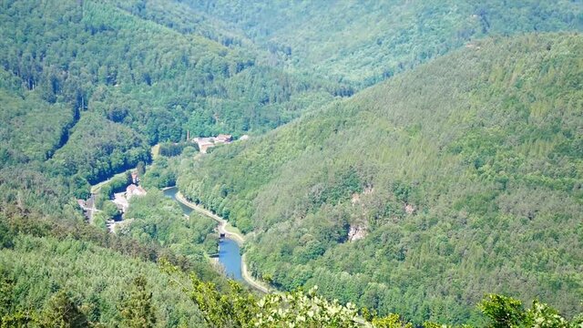 Rivi&egrave;re qui traverse une for&ecirc;t 